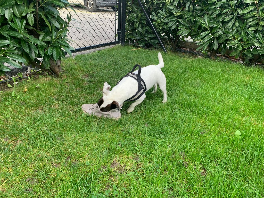 Education quotidien 1.jpg