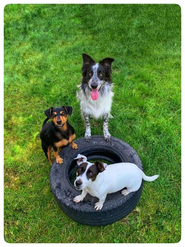 Education quotidien 2.jpg