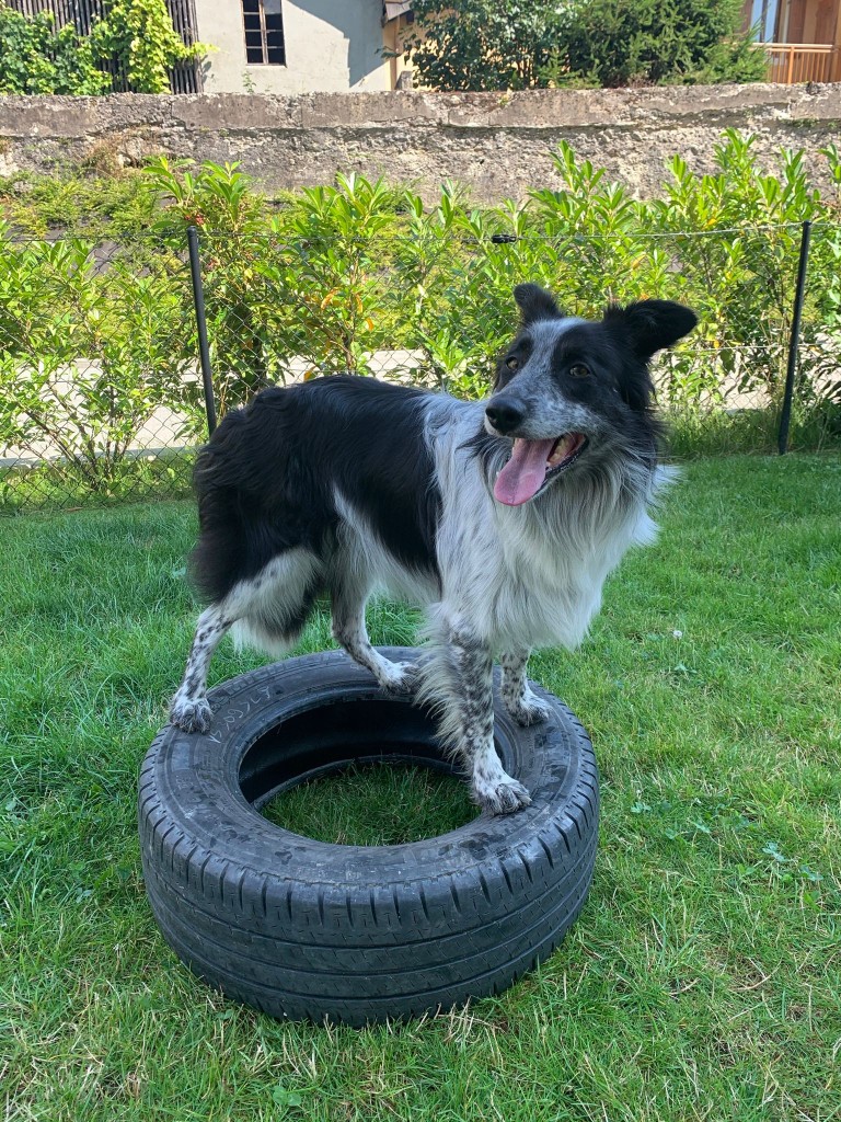 Education quotidien 3.jpg