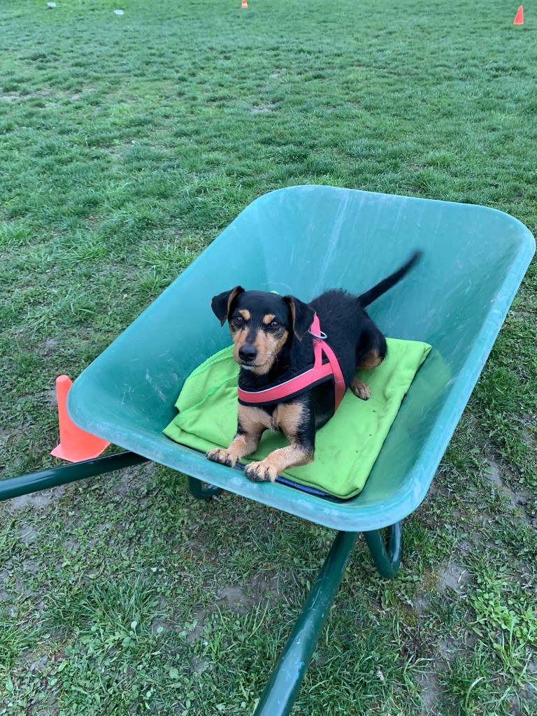 Education quotidien 4.jpg