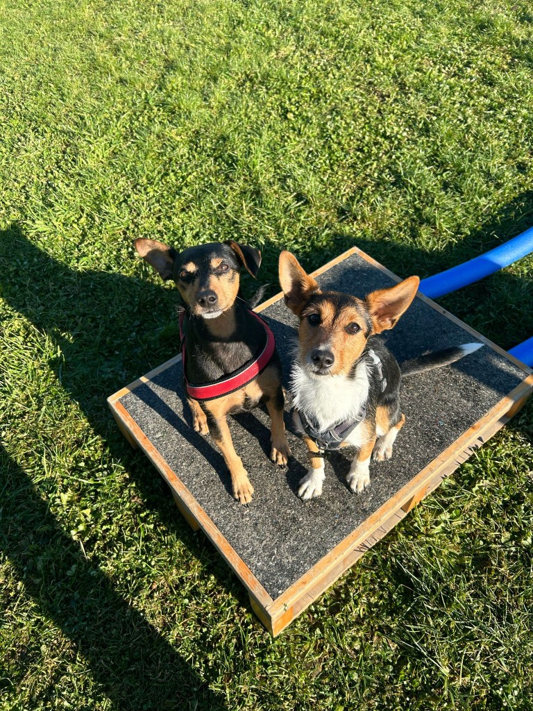 Education quotidien 5.jpg