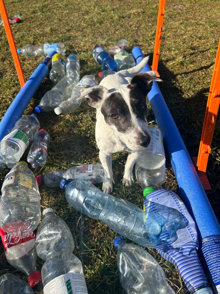 Education quotidien 6.jpg