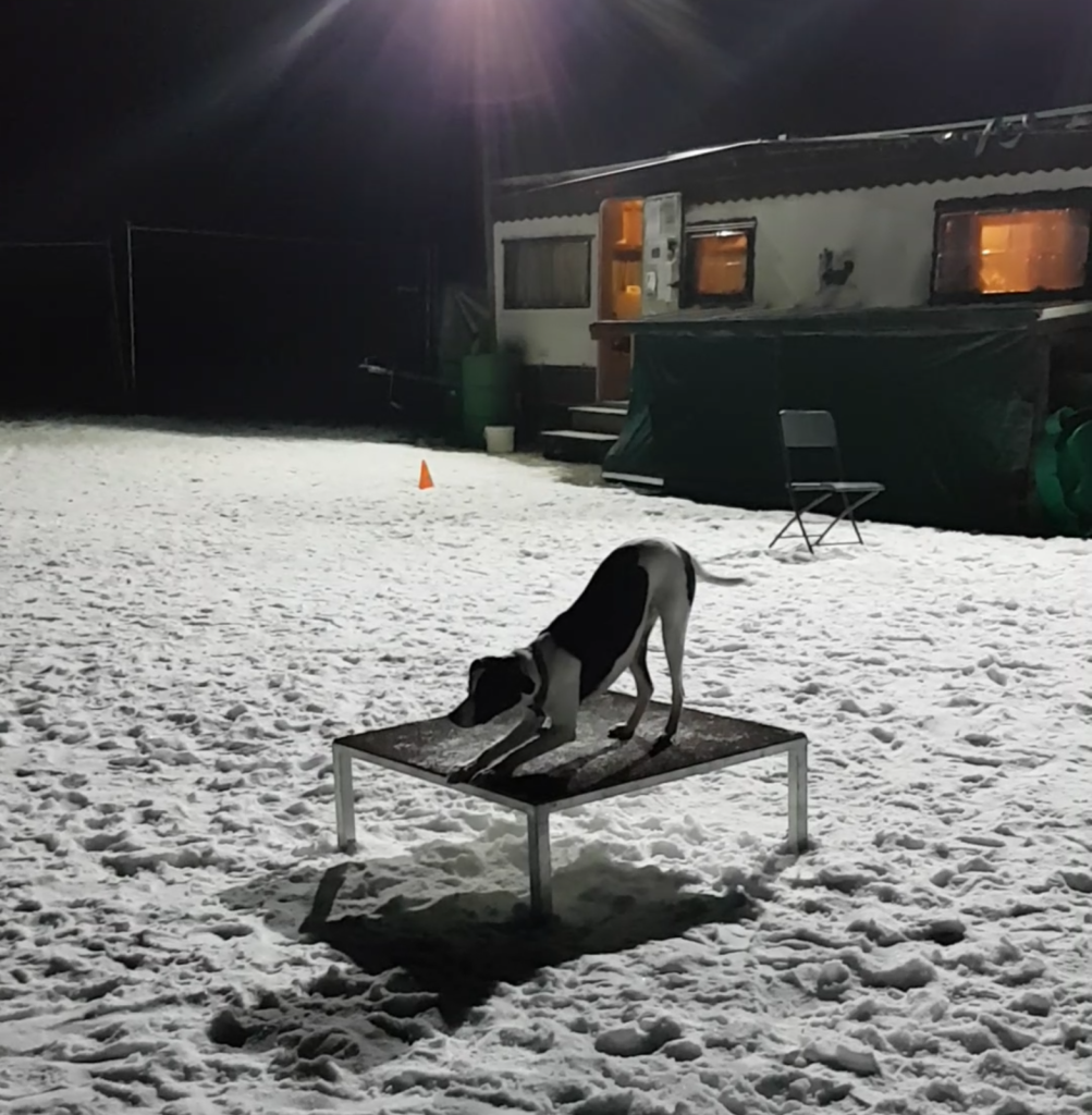 Sport plaisir et mobility 2.png