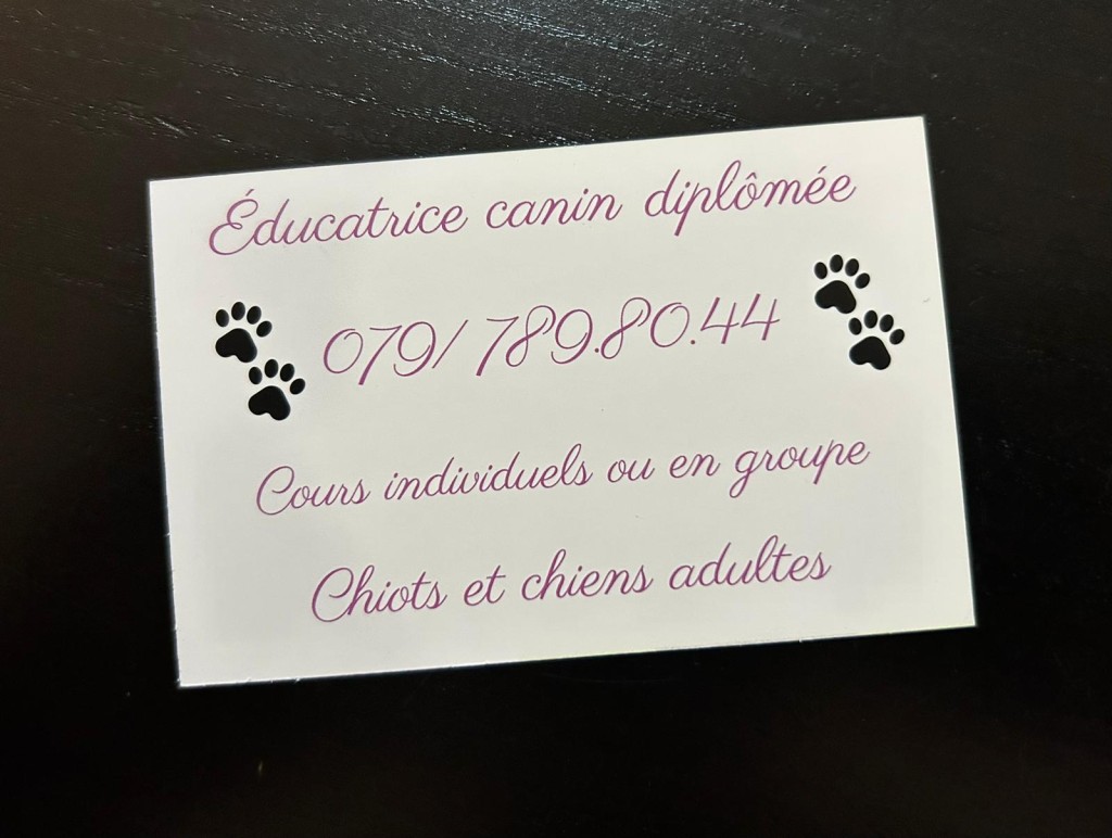 Chiots ados 2.jpg